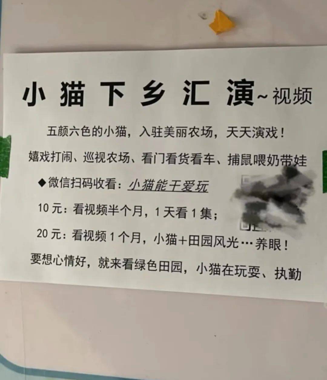 全網(wǎng)追蹤的“賣貓片”可疑廣告<strong></p>
<p>鋼筋網(wǎng)片
</strong>，結(jié)果出人意料:鋼筋網(wǎng)片
