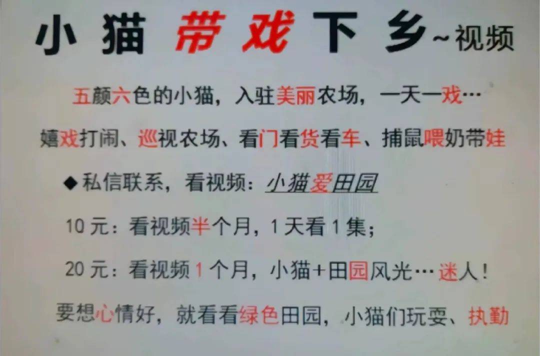 全網(wǎng)追蹤的“賣貓片”可疑廣告<strong></p>
<p>鋼筋網(wǎng)片
</strong>，結(jié)果出人意料:鋼筋網(wǎng)片
