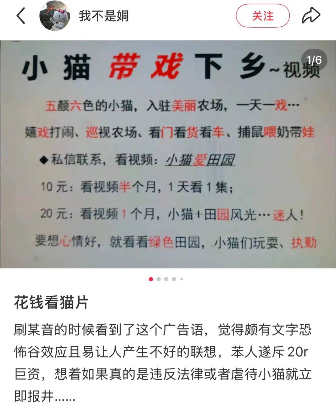 全網(wǎng)追蹤的“賣貓片”可疑廣告<strong></p>
<p>鋼筋網(wǎng)片
</strong>，結(jié)果出人意料:鋼筋網(wǎng)片
