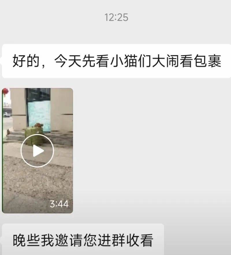全網(wǎng)追蹤的“賣貓片”可疑廣告<strong></p>
<p>鋼筋網(wǎng)片
</strong>，結(jié)果出人意料:鋼筋網(wǎng)片
