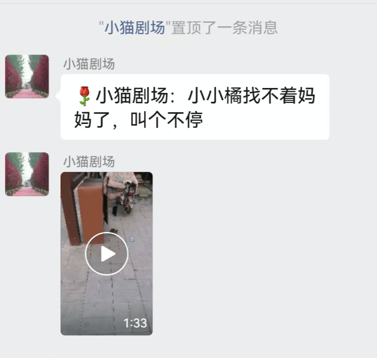 全網(wǎng)追蹤的“賣貓片”可疑廣告<strong></p>
<p>鋼筋網(wǎng)片
</strong>，結(jié)果出人意料:鋼筋網(wǎng)片
