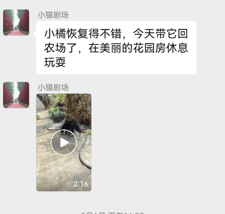 全網(wǎng)追蹤的“賣貓片”可疑廣告<strong></p>
<p>鋼筋網(wǎng)片
</strong>，結(jié)果出人意料:鋼筋網(wǎng)片
